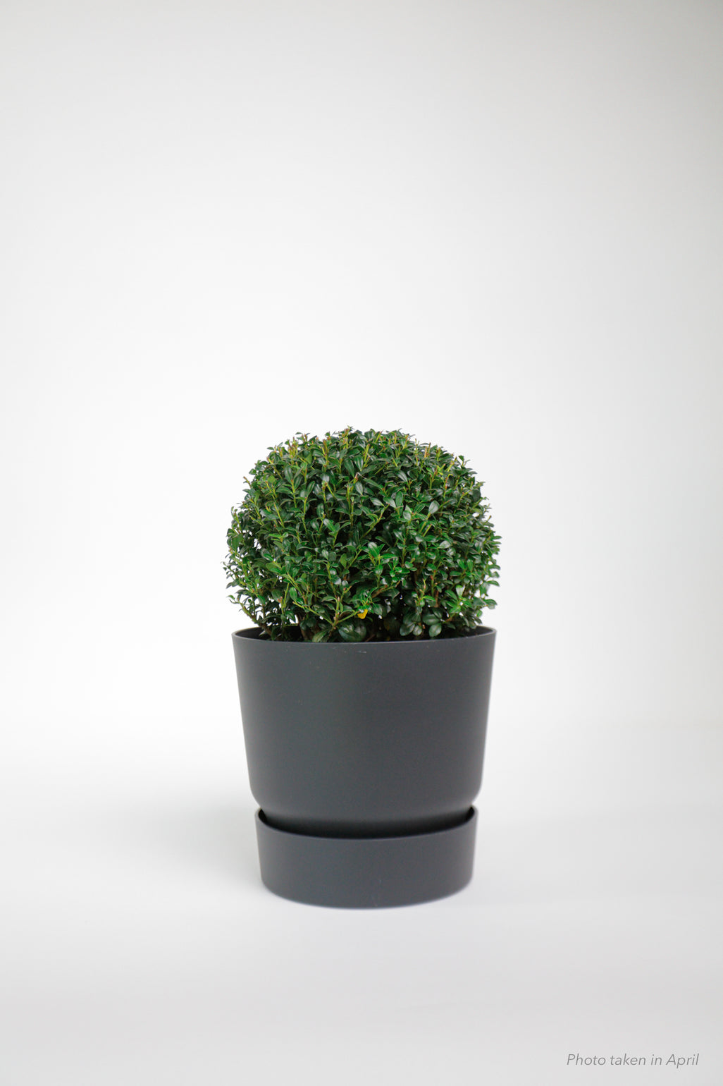 products/SotoProductShootLowQ-1990.jpg